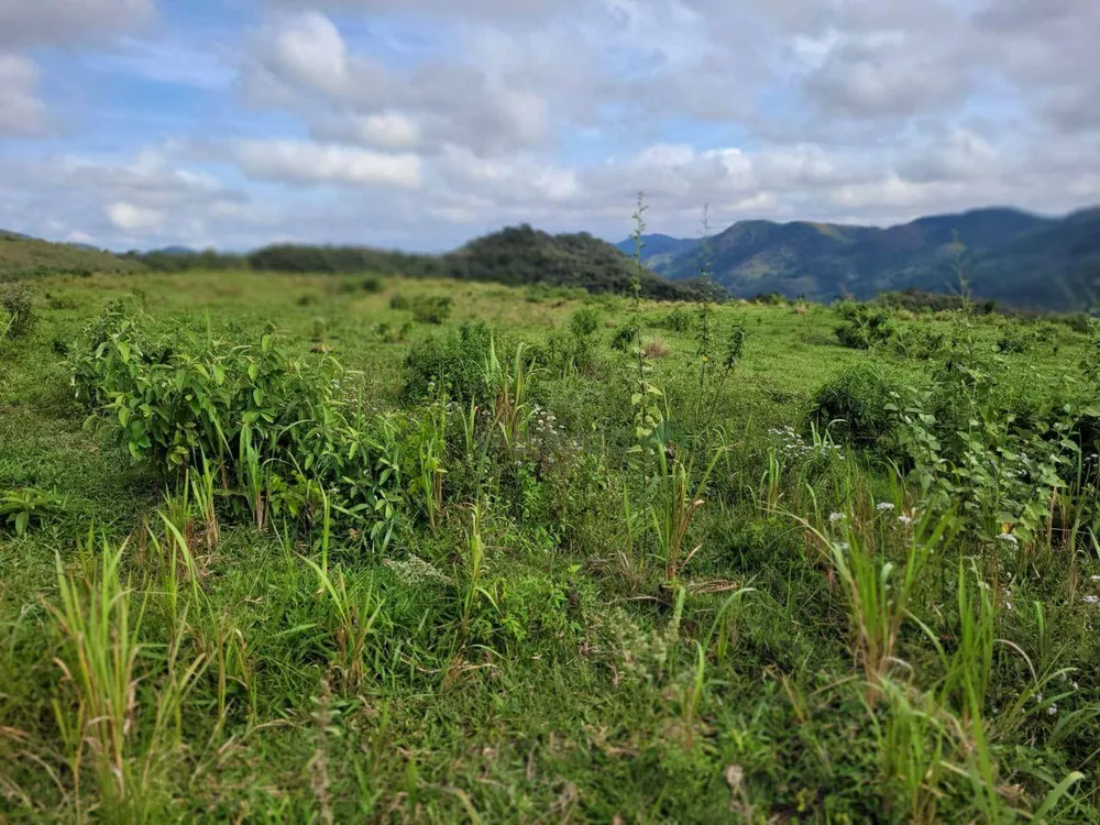 Fazenda, 129 hectares - Foto 13
