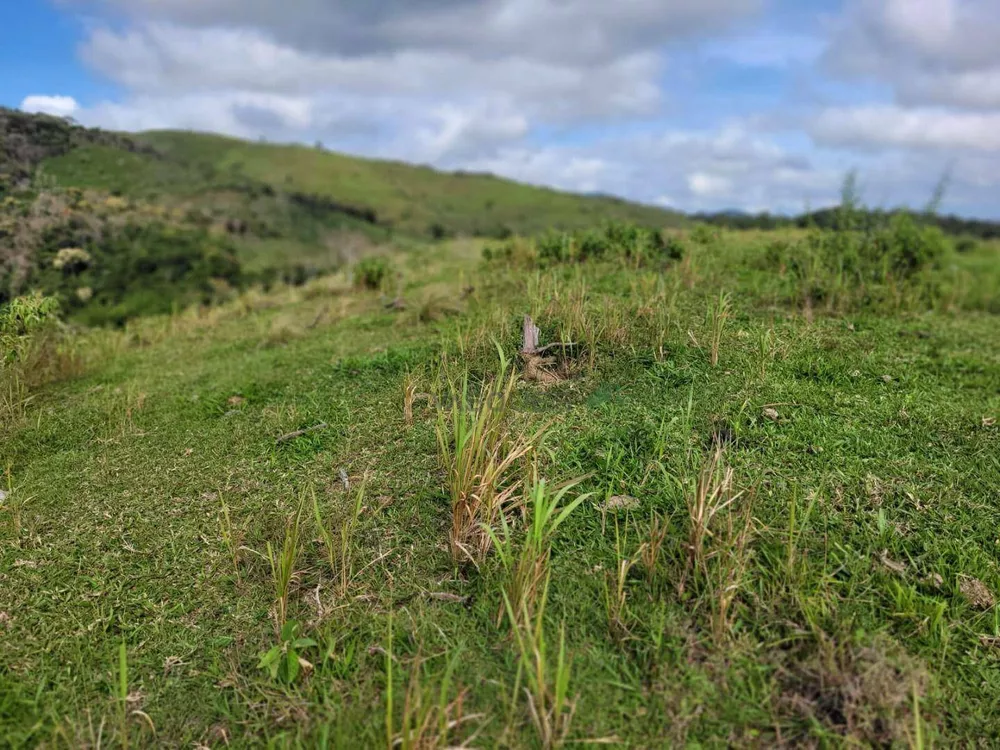 Fazenda, 129 hectares - Foto 12