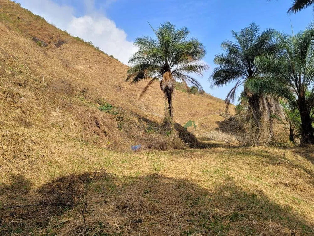 Fazenda, 129 hectares - Foto 22