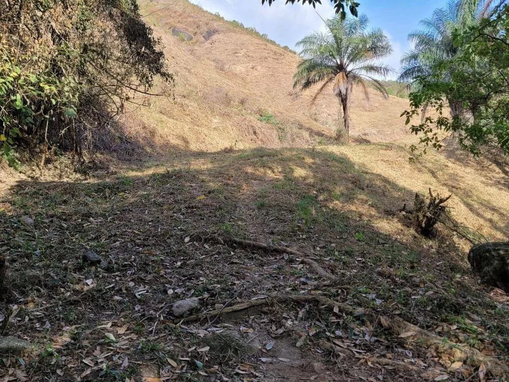 Fazenda, 129 hectares - Foto 17
