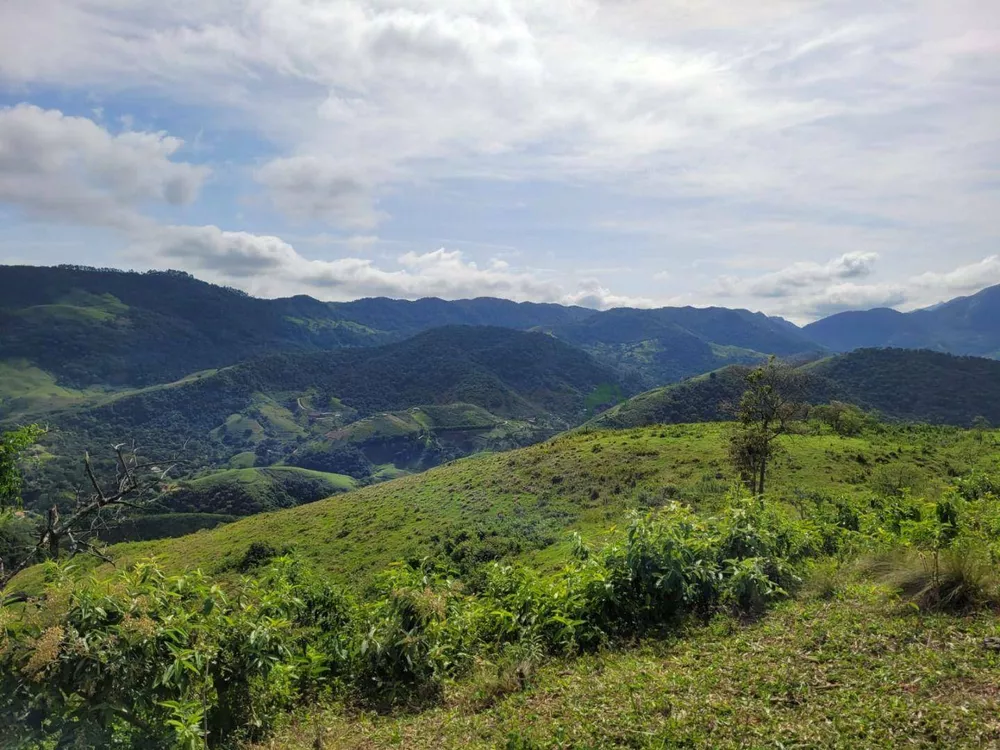 Fazenda, 129 hectares - Foto 7