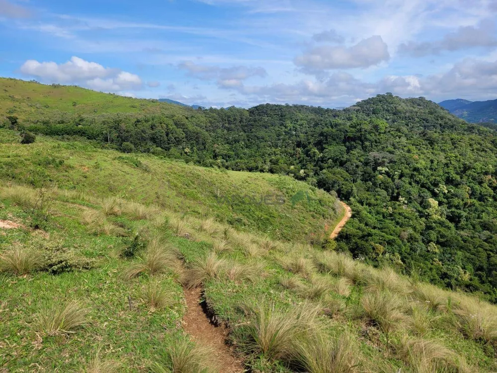 Fazenda, 129 hectares - Foto 6