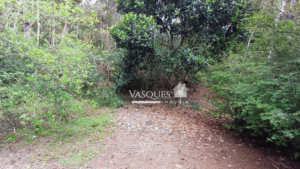 Sítio, 3 quartos, 33 hectares - Foto 22