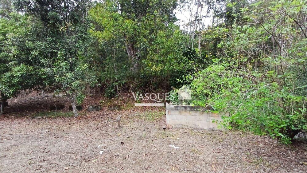 Sítio, 3 quartos, 33 hectares - Foto 21