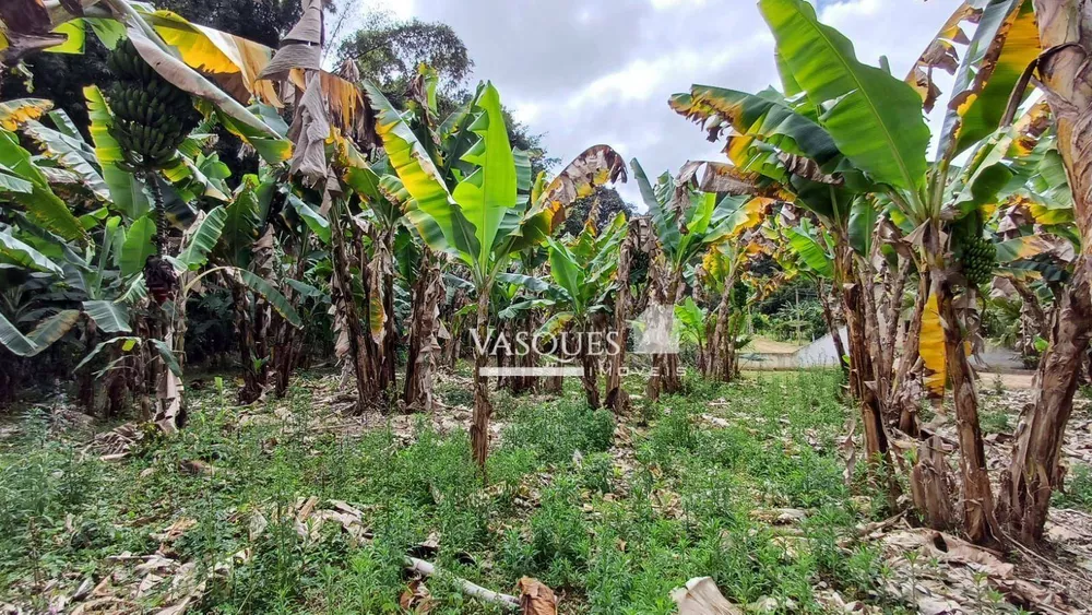 Sítio, 3 quartos, 33 hectares - Foto 23