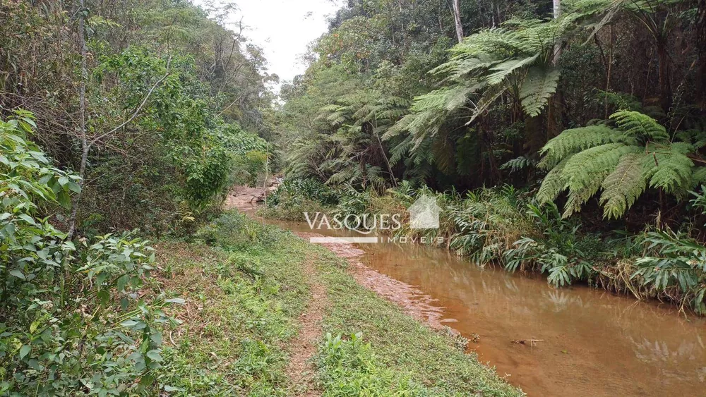 Sítio, 3 quartos, 33 hectares - Foto 20