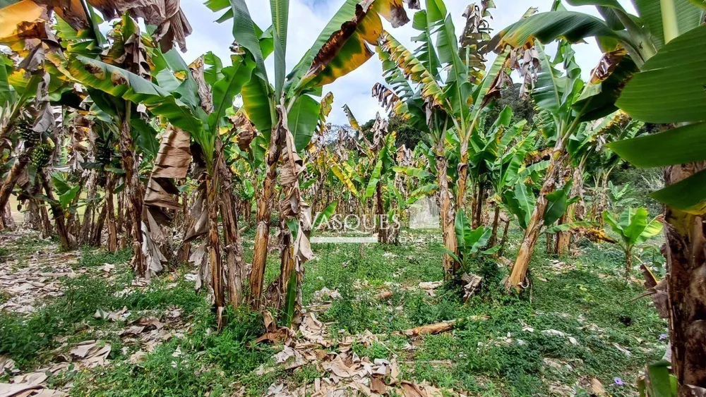 Sítio, 3 quartos, 33 hectares - Foto 3