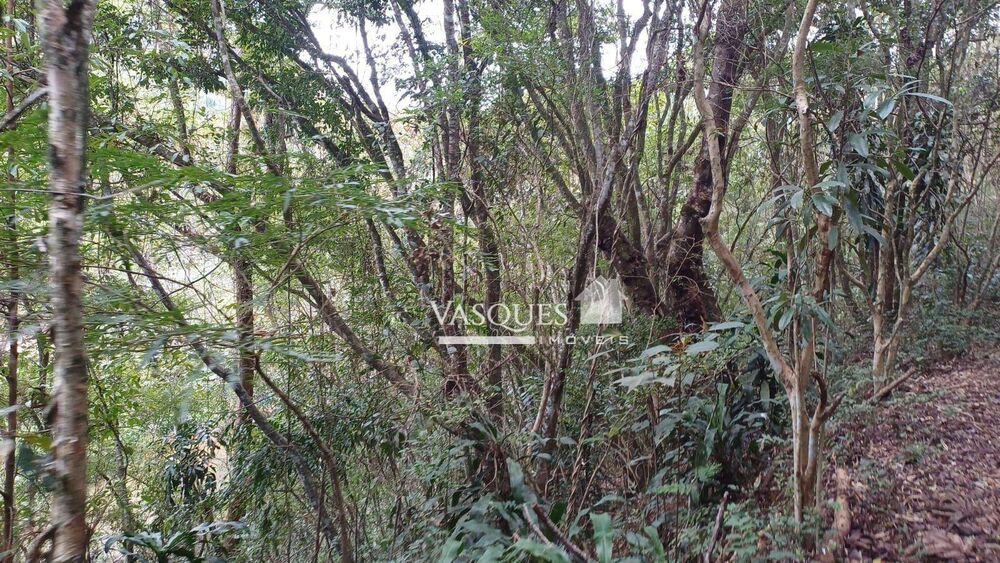 Sítio, 3 quartos, 33 hectares - Foto 16