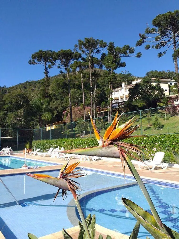 Loteamento e Condomínio, 594 m² - Foto 9