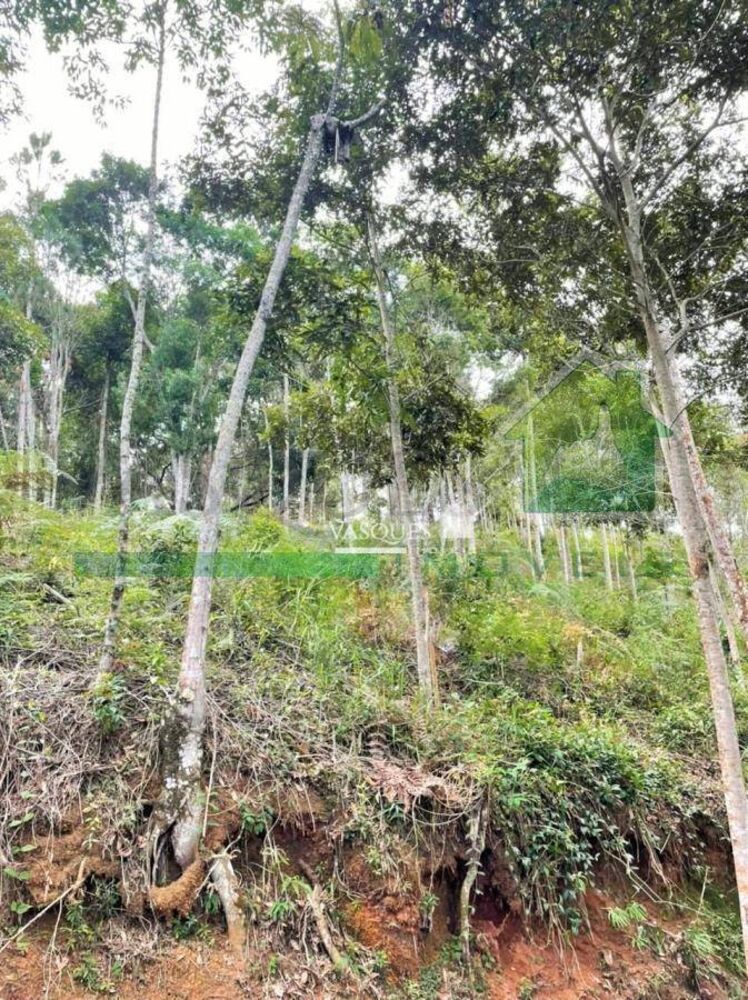 Terreno, 1120 m² - Foto 5