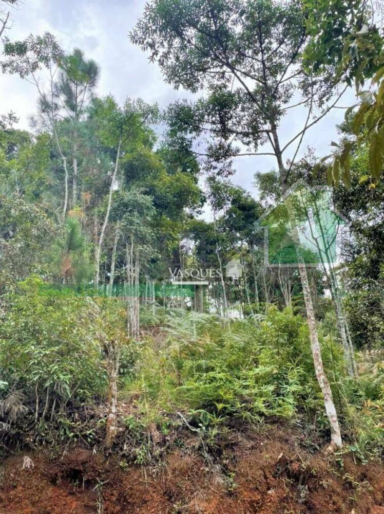 Terreno, 1120 m² - Foto 1