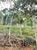 Terreno, 1120 m² - Foto 5