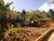 Terreno, 453 m² - Foto 5