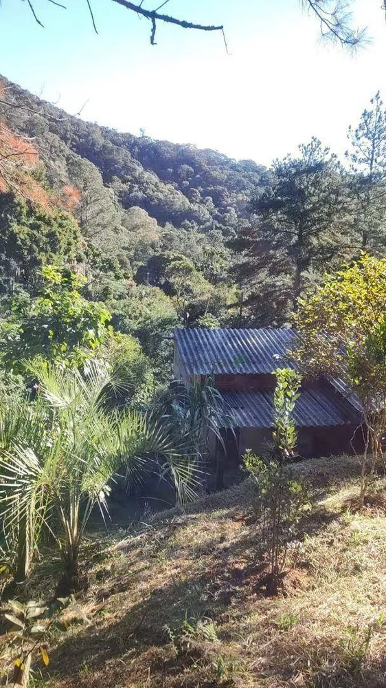 Terreno, 21 hectares - Foto 11