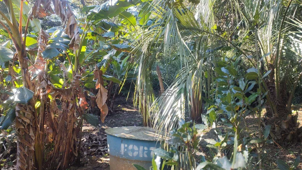 Terreno, 21 hectares - Foto 9