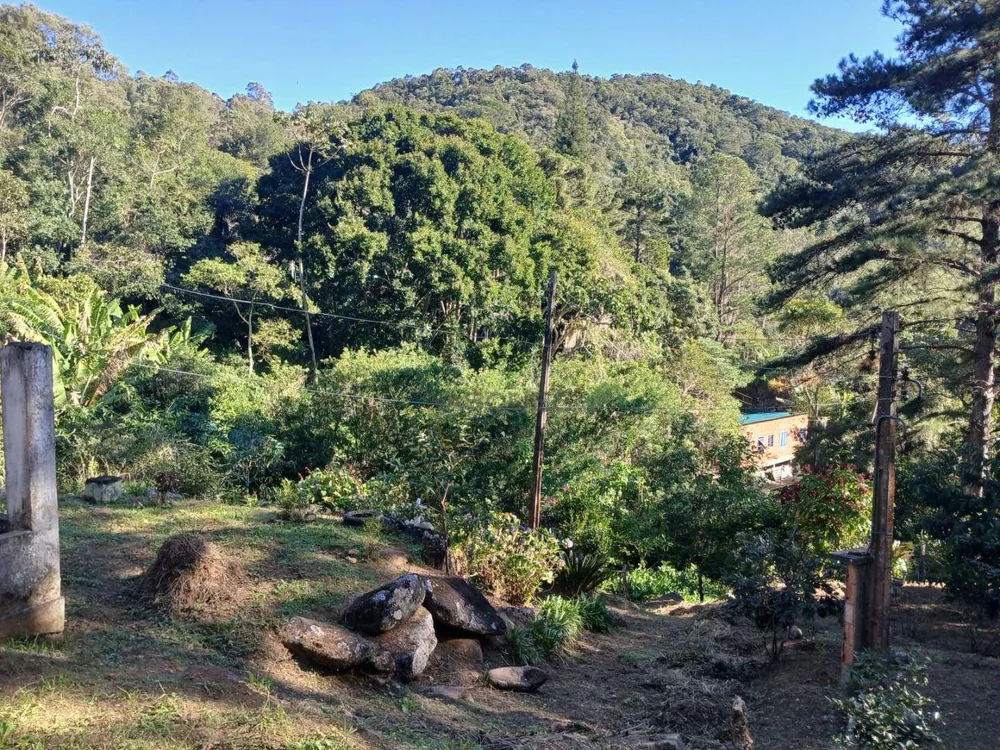 Terreno, 21 hectares - Foto 7