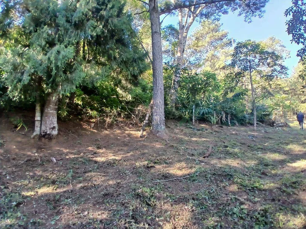 Terreno, 21 hectares - Foto 1