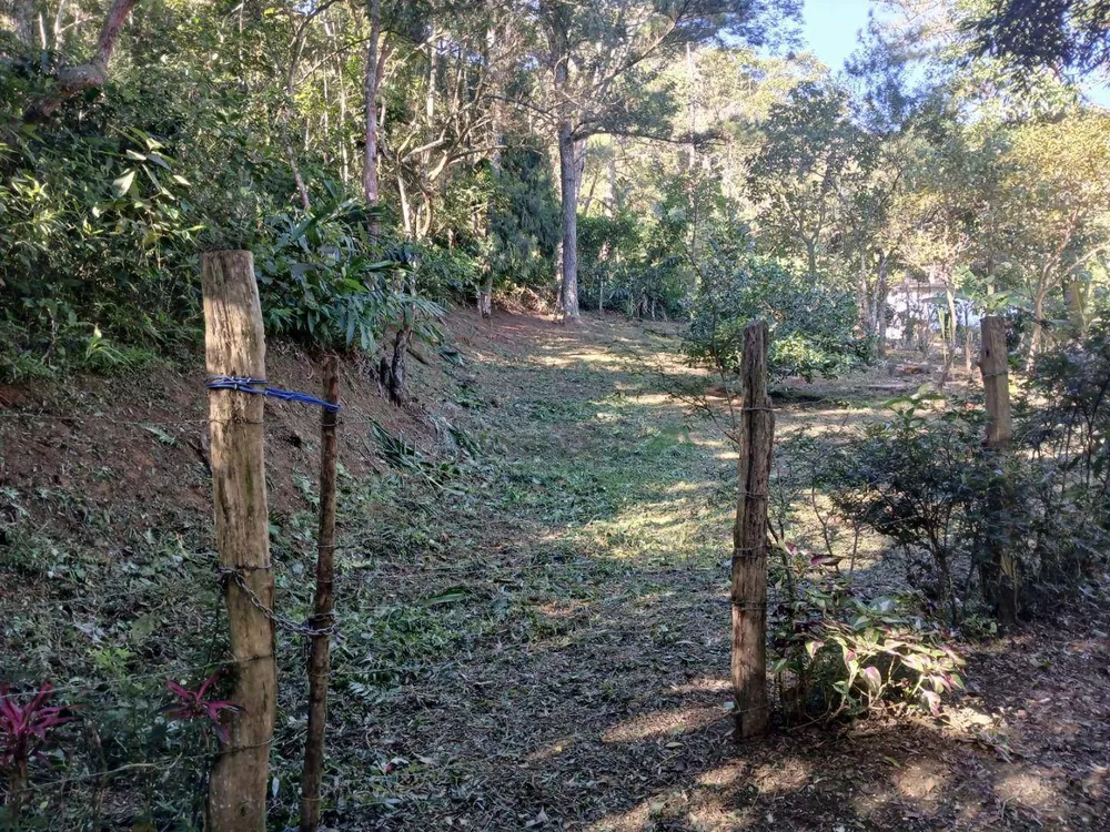 Terreno, 21 hectares - Foto 8