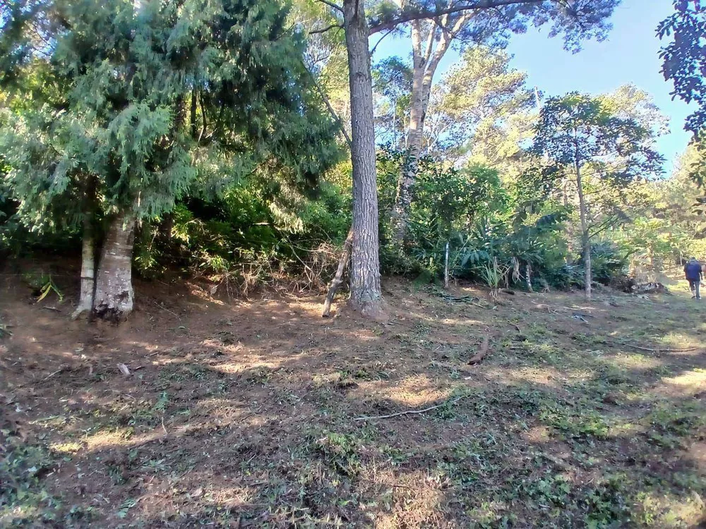 Terreno, 21 hectares - Foto 15