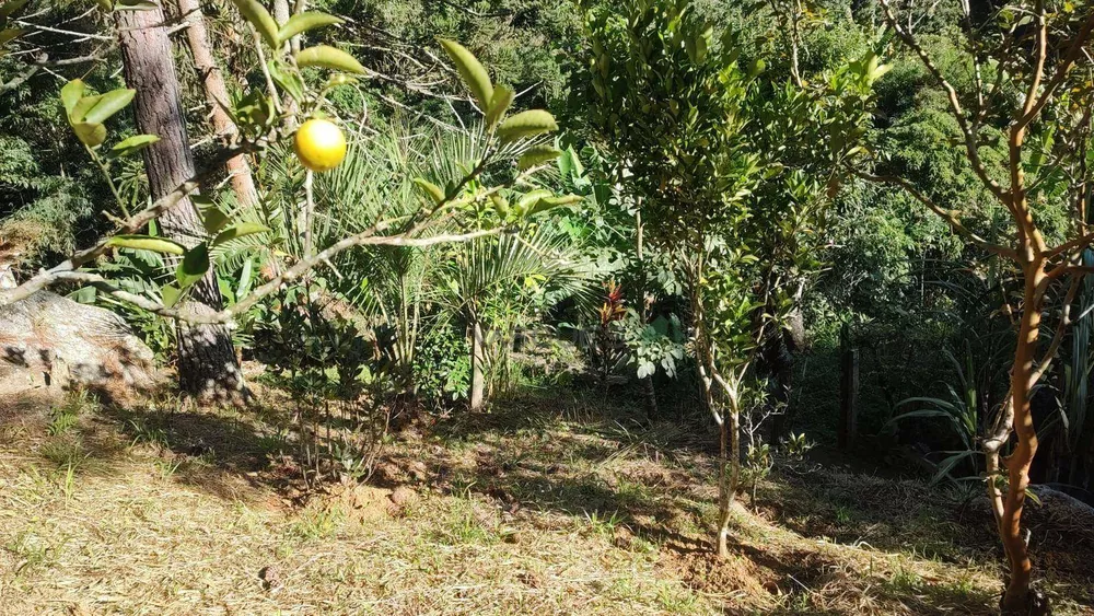 Terreno, 21 hectares - Foto 12