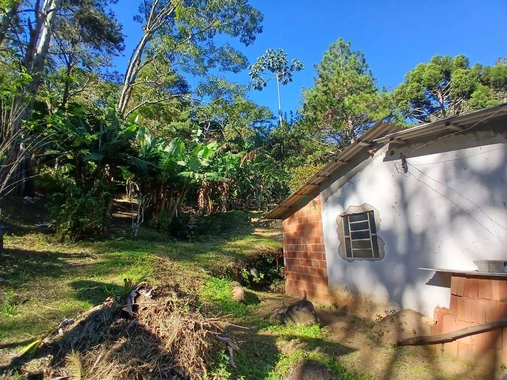 Terreno, 21 hectares - Foto 5