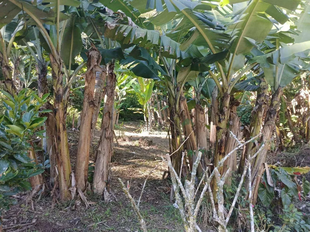 Terreno, 21 hectares - Foto 6