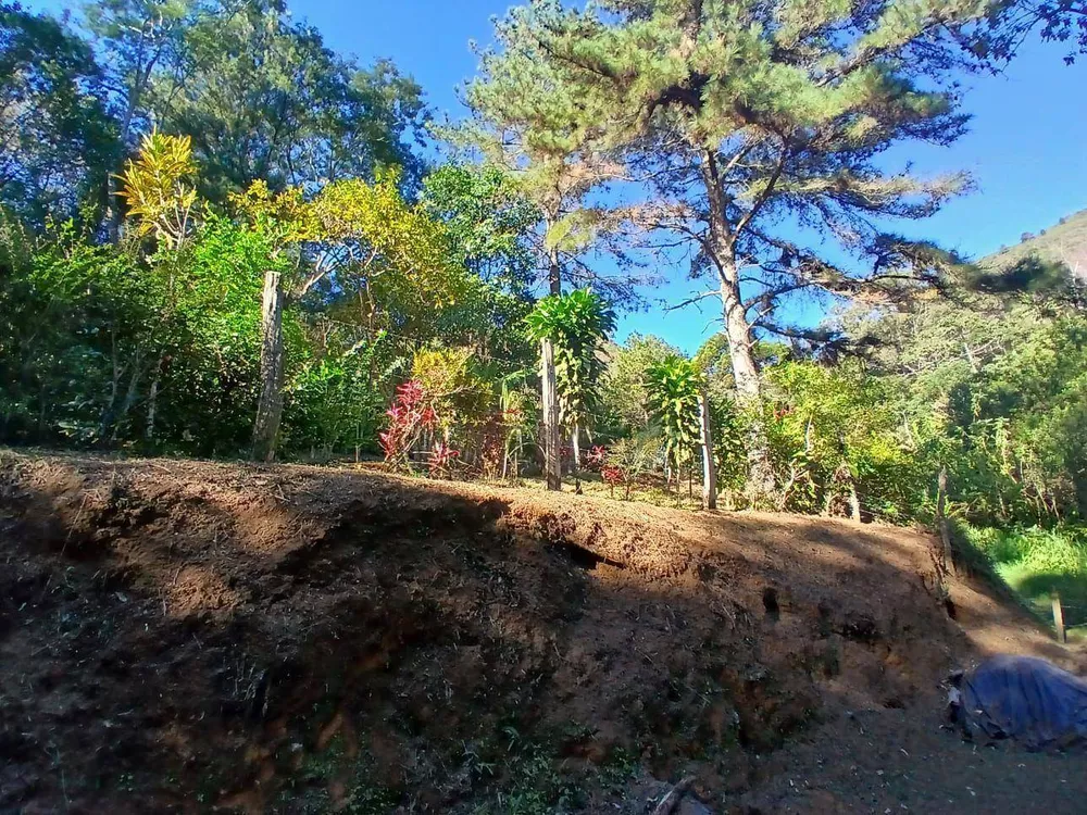 Terreno, 21 hectares - Foto 4