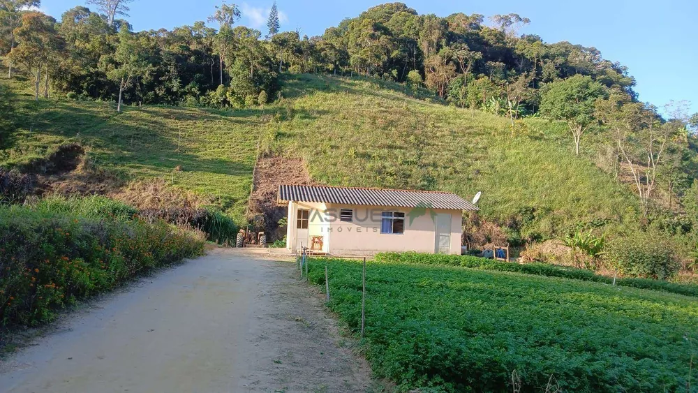 Terreno, 2 hectares - Foto 6