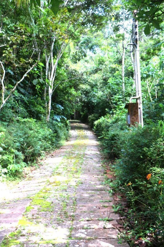 Sítio, 12 hectares - Foto 13