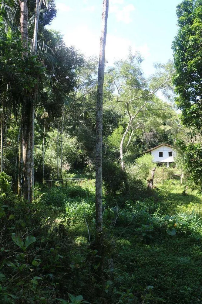 Sítio, 12 hectares - Foto 30