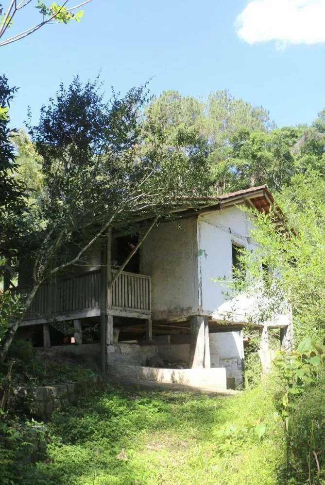 Sítio, 12 hectares - Foto 14
