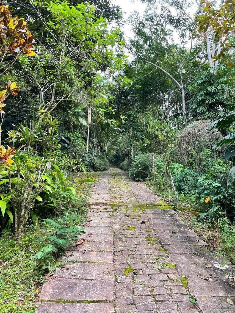 Sítio, 12 hectares - Foto 11