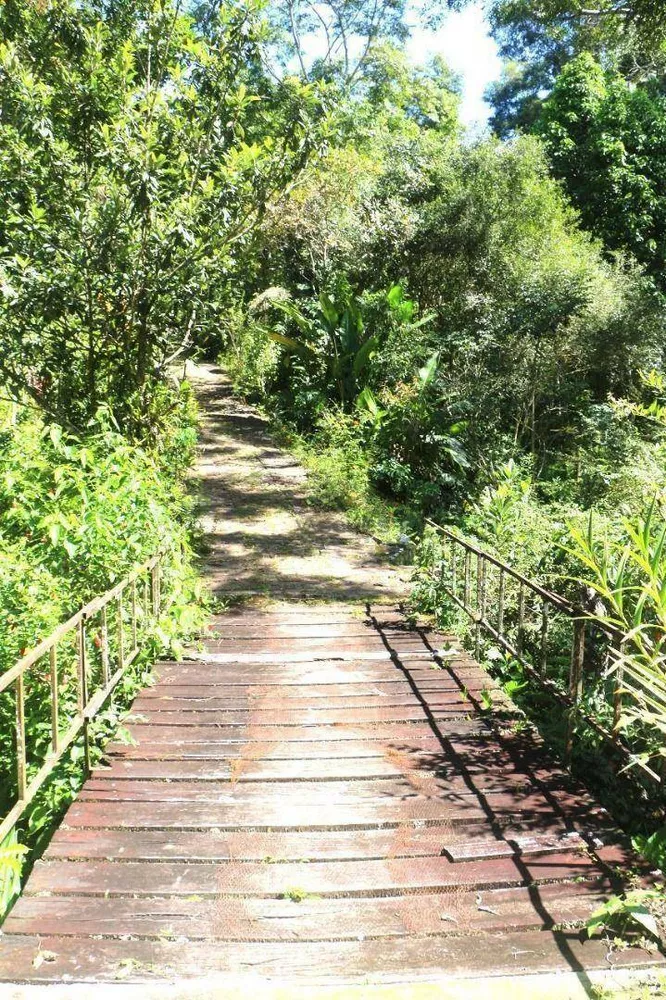 Sítio, 12 hectares - Foto 31