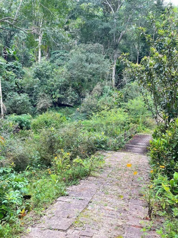 Sítio, 12 hectares - Foto 16