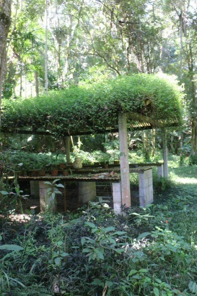 Sítio, 12 hectares - Foto 17