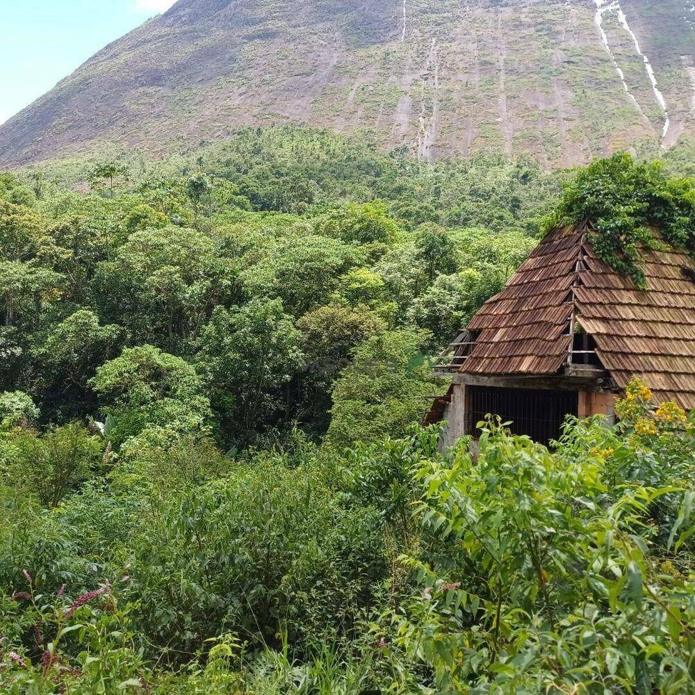 Terreno, 22 hectares - Foto 7