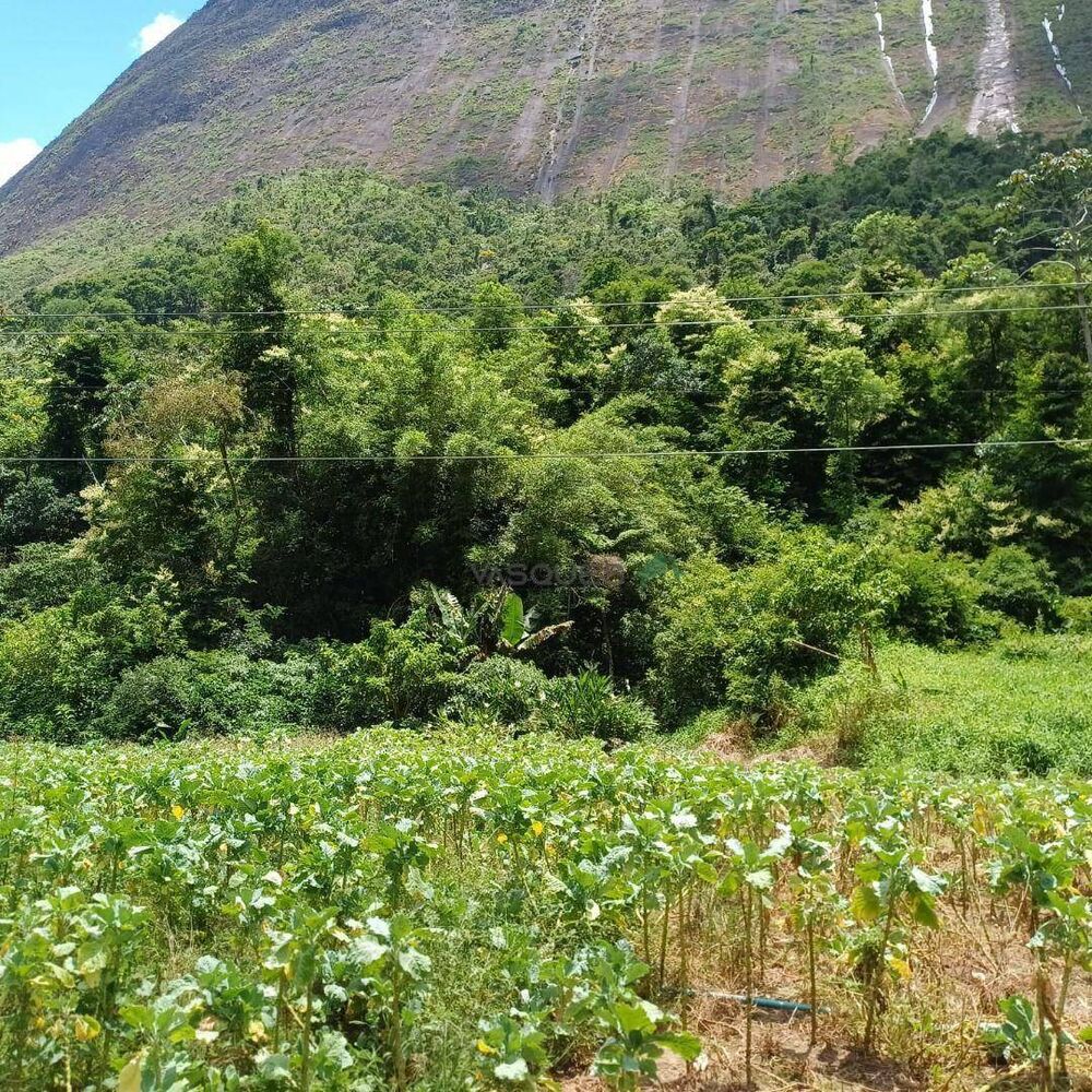 Terreno, 22 hectares - Foto 8