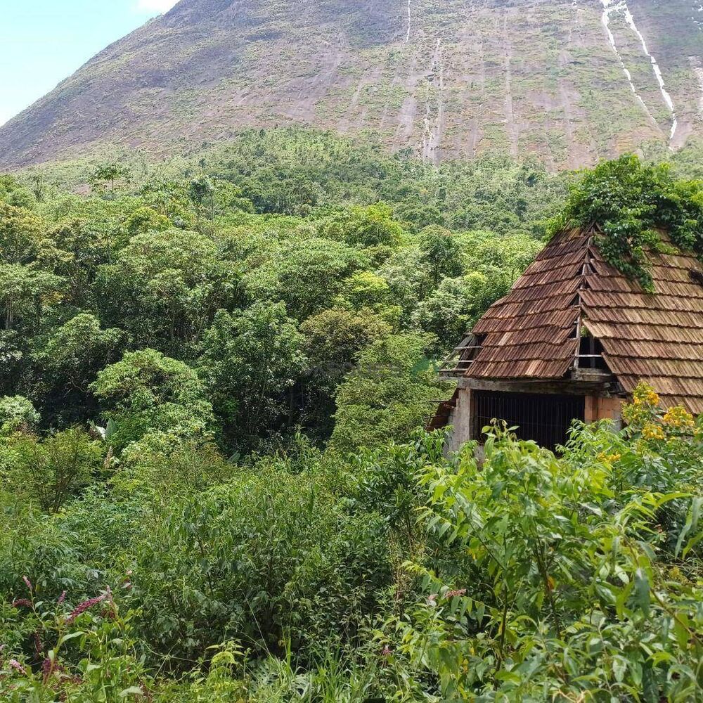 Terreno, 22 hectares - Foto 1