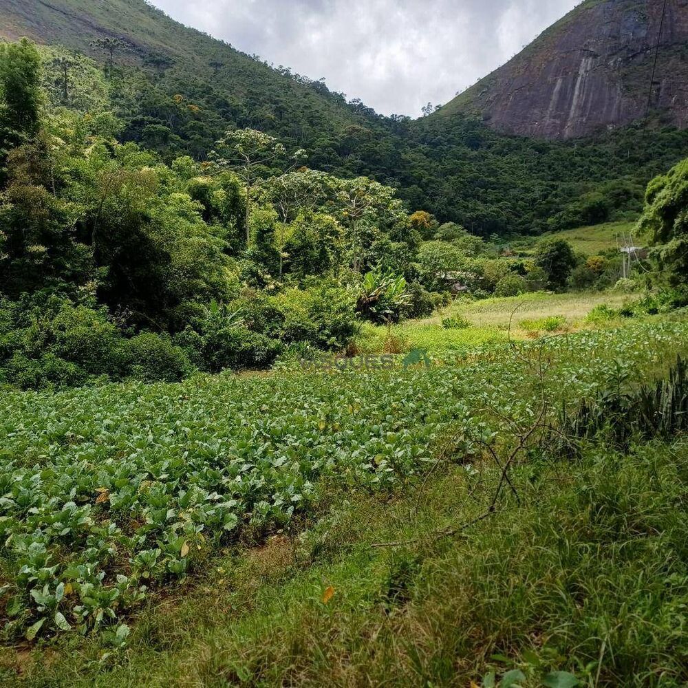 Terreno, 22 hectares - Foto 4