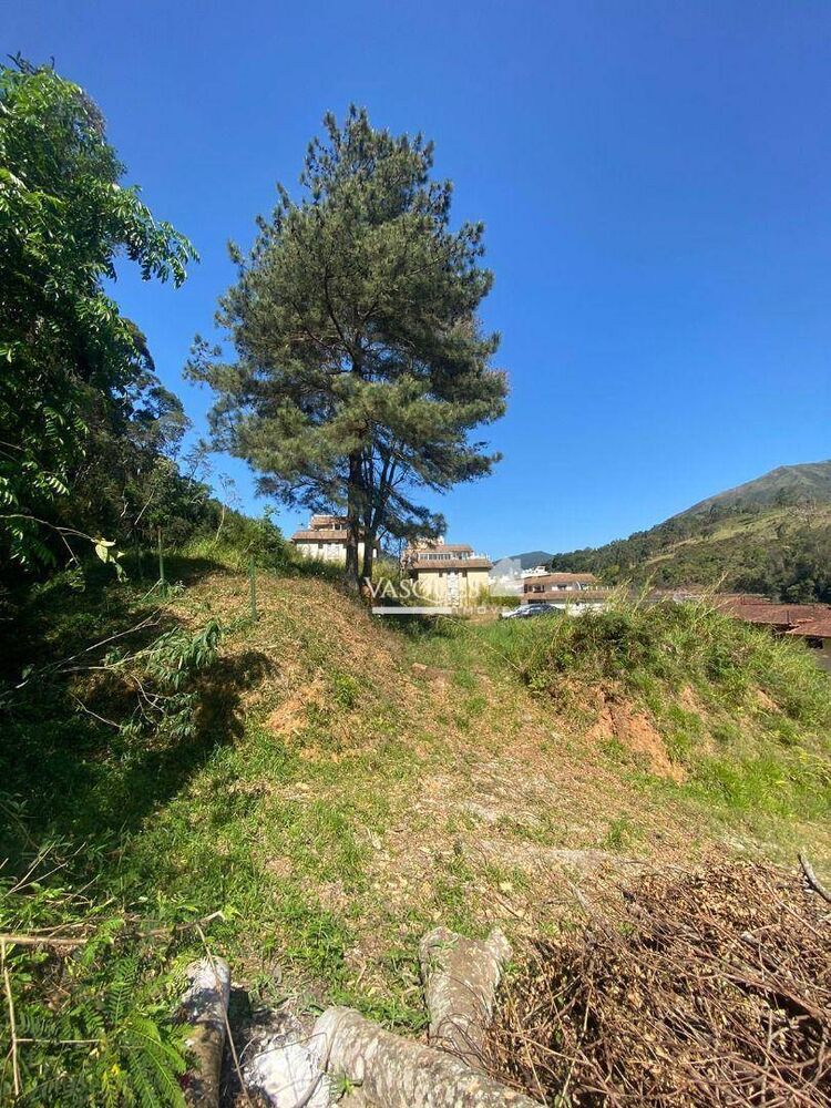 Loteamento e Condomínio, 2 hectares - Foto 3
