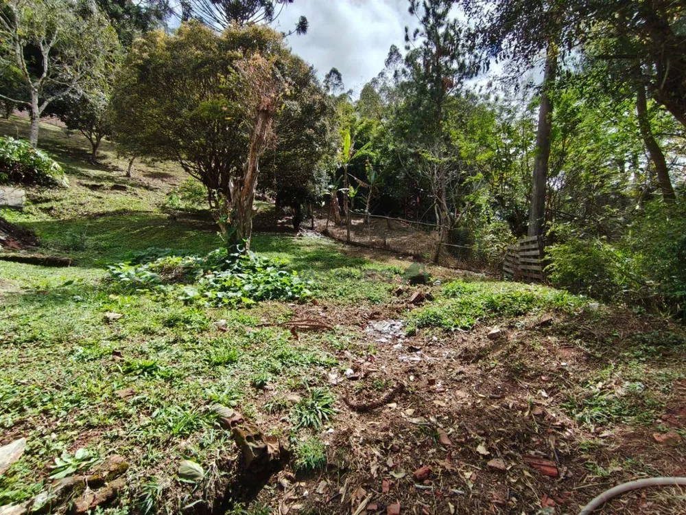 Casa, 6 quartos, 201 m² - Foto 15