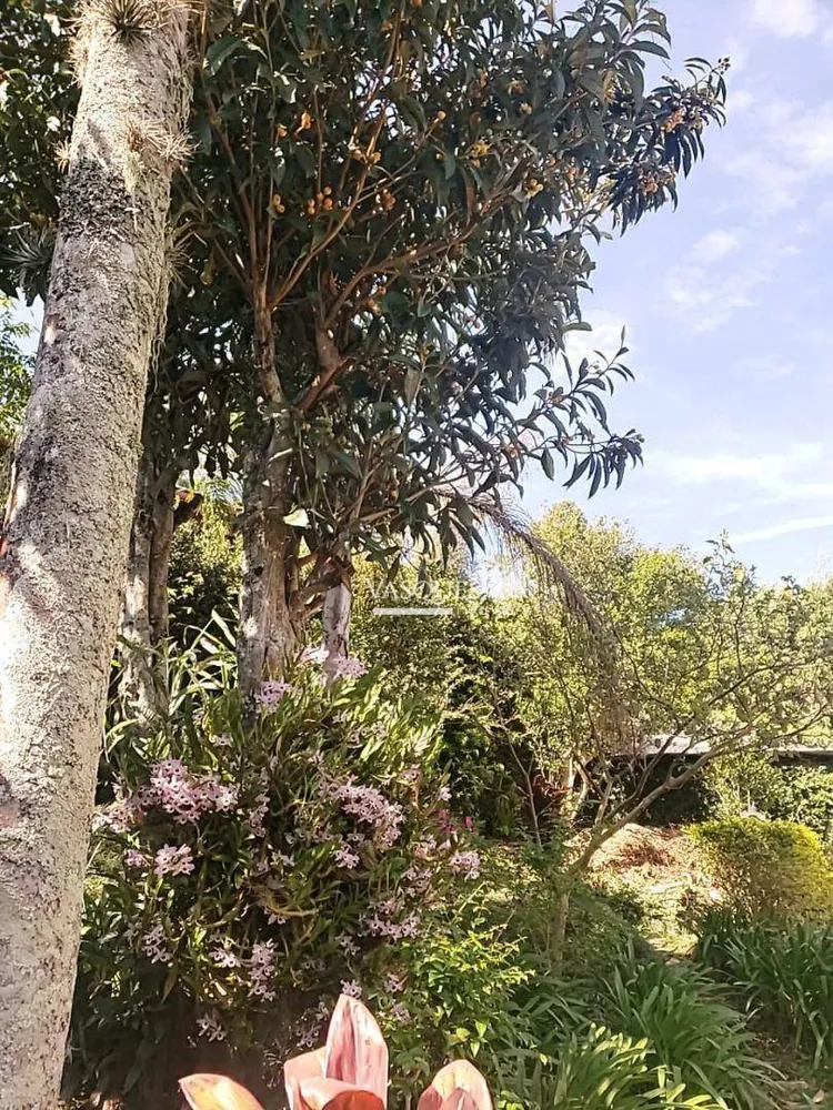 Casa, 4 quartos, 253 m² - Foto 43