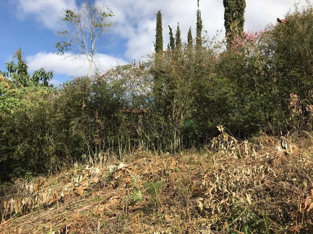 Loteamento e Condomínio, 520 m² - Foto 3