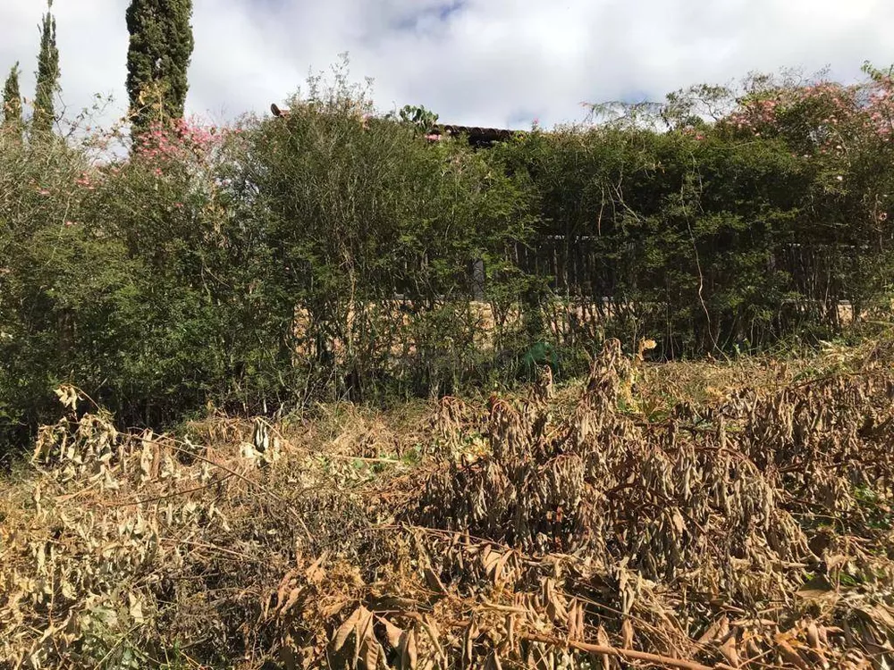 Loteamento e Condomínio, 520 m² - Foto 2