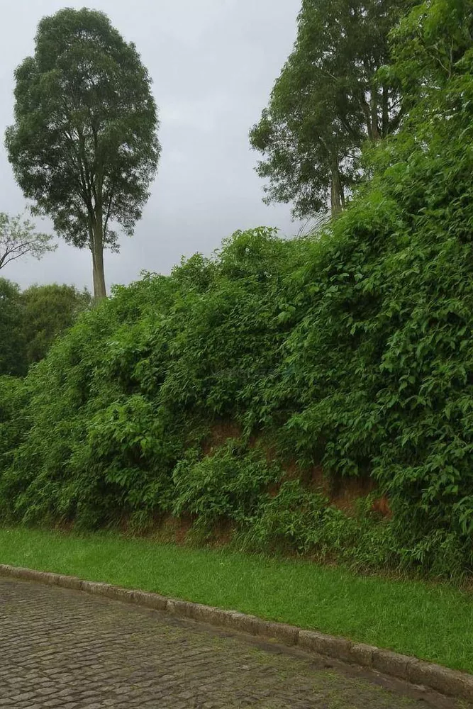 Loteamento e Condomínio, 520 m² - Foto 4