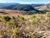 Terreno, 1148 m² - Foto 5