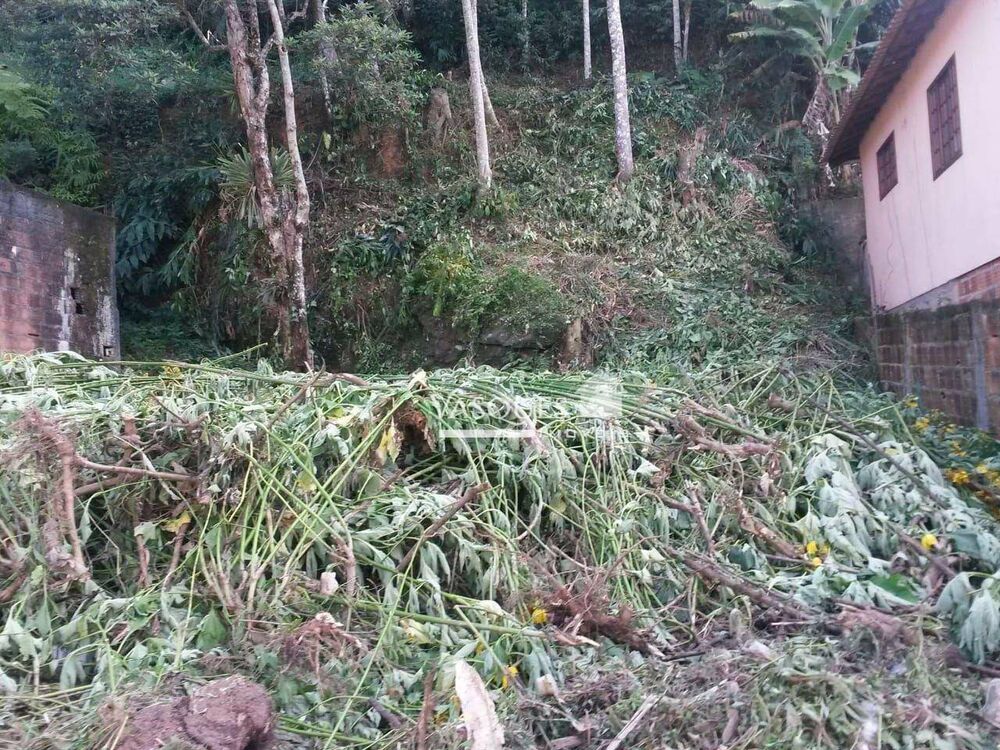 Terreno, 245 m² - Foto 3