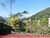 Casa, 4 quartos, 360 m² - Foto 1