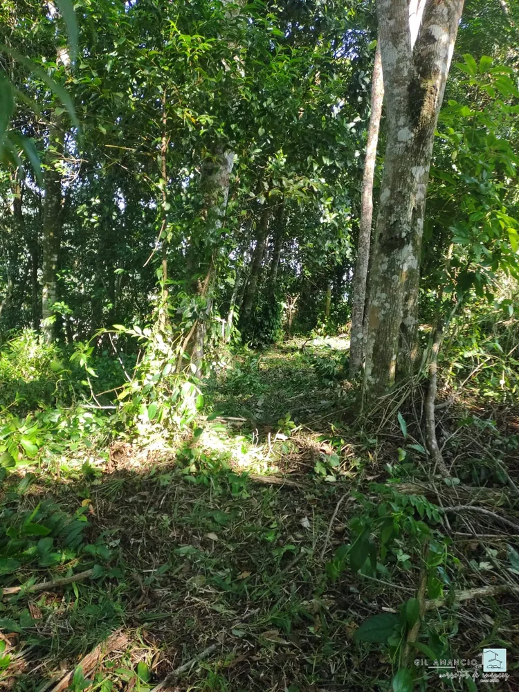Terreno, 6 m² - Foto 5