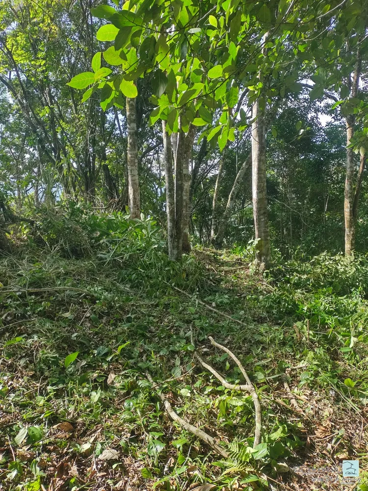 Terreno, 6 m² - Foto 6
